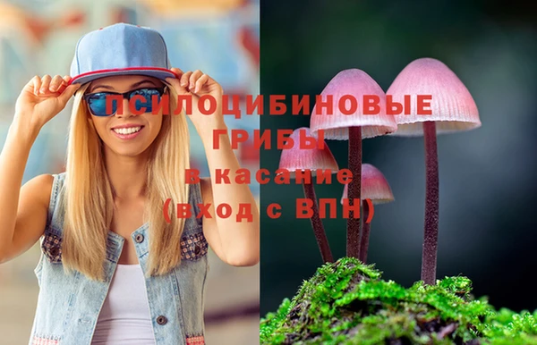 бутират Арсеньев