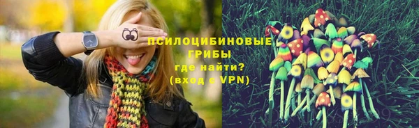бутират Арсеньев