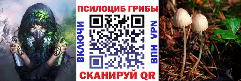 Псилоцибиновые грибы прущие грибы Ряжск