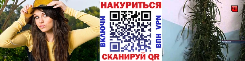 MEGA вход  Ряжск  Конопля планчик 